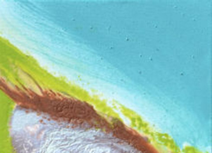 Cacao Meravigliao A  12X36  
